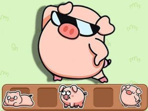 Happy Hog Observation Game