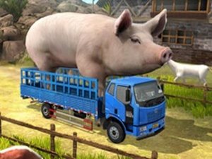Driver Master Simulator Online Game