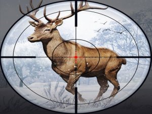 Deer Hunting: 3D Shooting Adventure