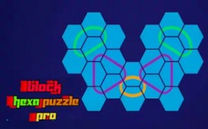 Hexa Block Puzzle Challenge