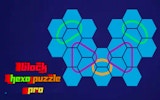 Hexa Block Puzzle Challenge