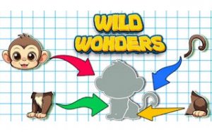 Wildlife Picture Puzzle Assembly